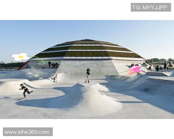 滑板文化的崛起与传承广州滑板队的意识形态探讨与发展MBA