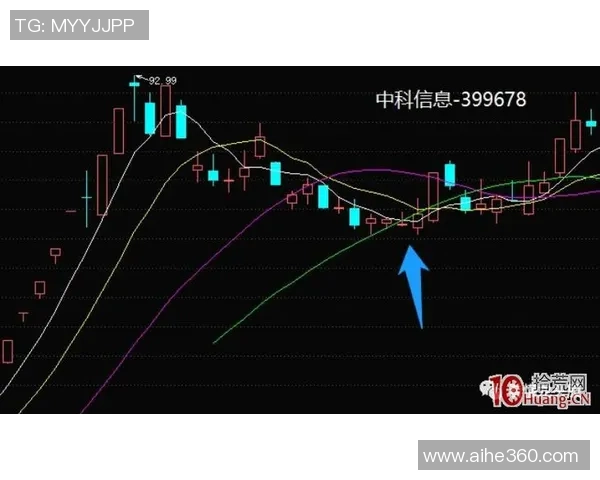 深圳篮球队灵活性分析与战术创新的深度探讨