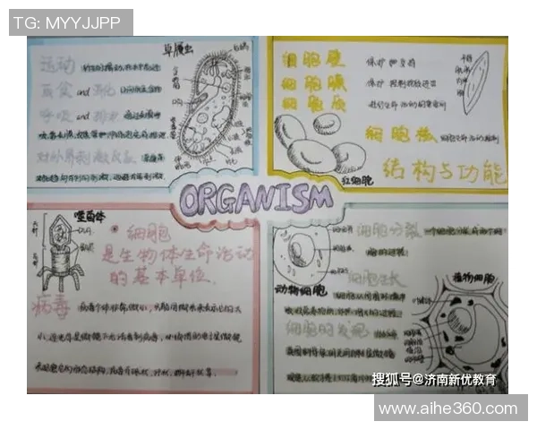 王汝恒：探索科技与人文交融的未来之路与创新思维