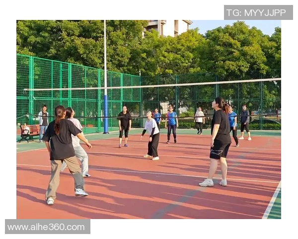 武汉排球队协作能力创新高引领全国排球团队新风潮